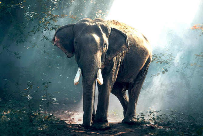 Munnar - Thekkady - Alleppey